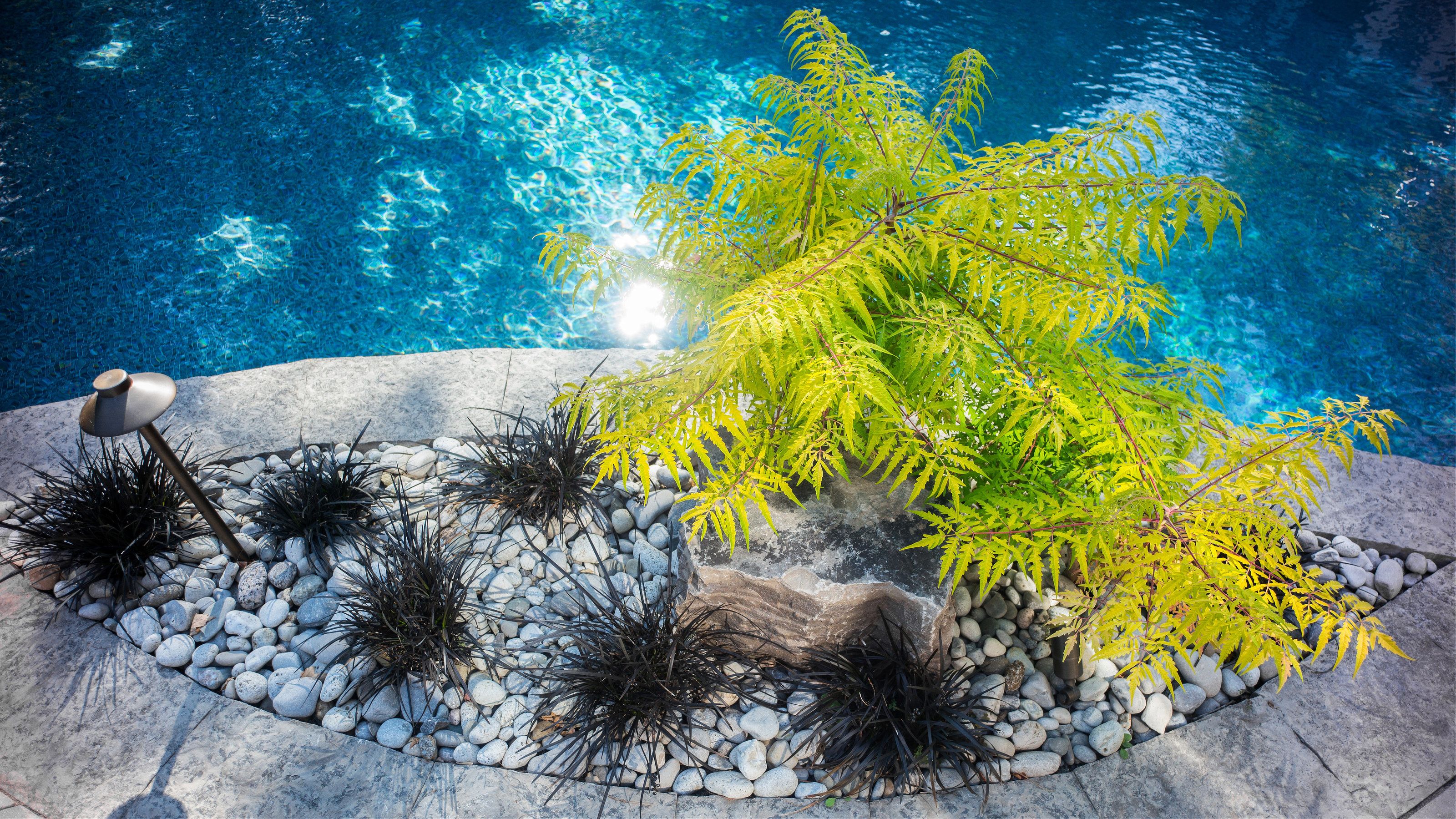 Swimming pool garden landscaping